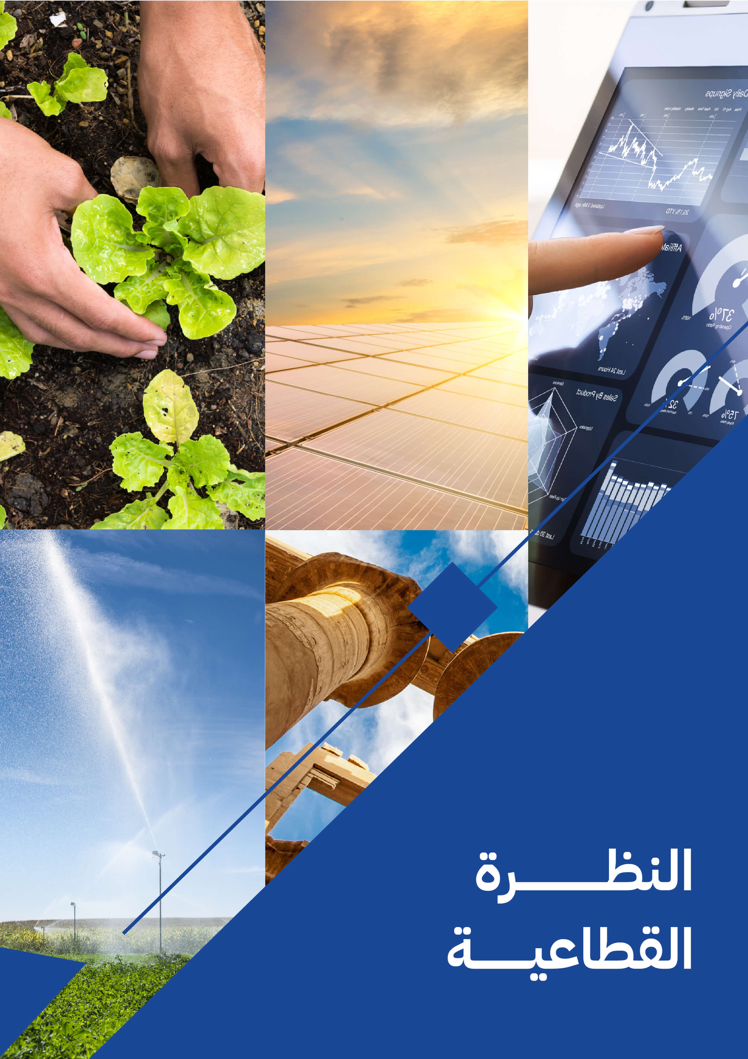   النظرة القطاعية 