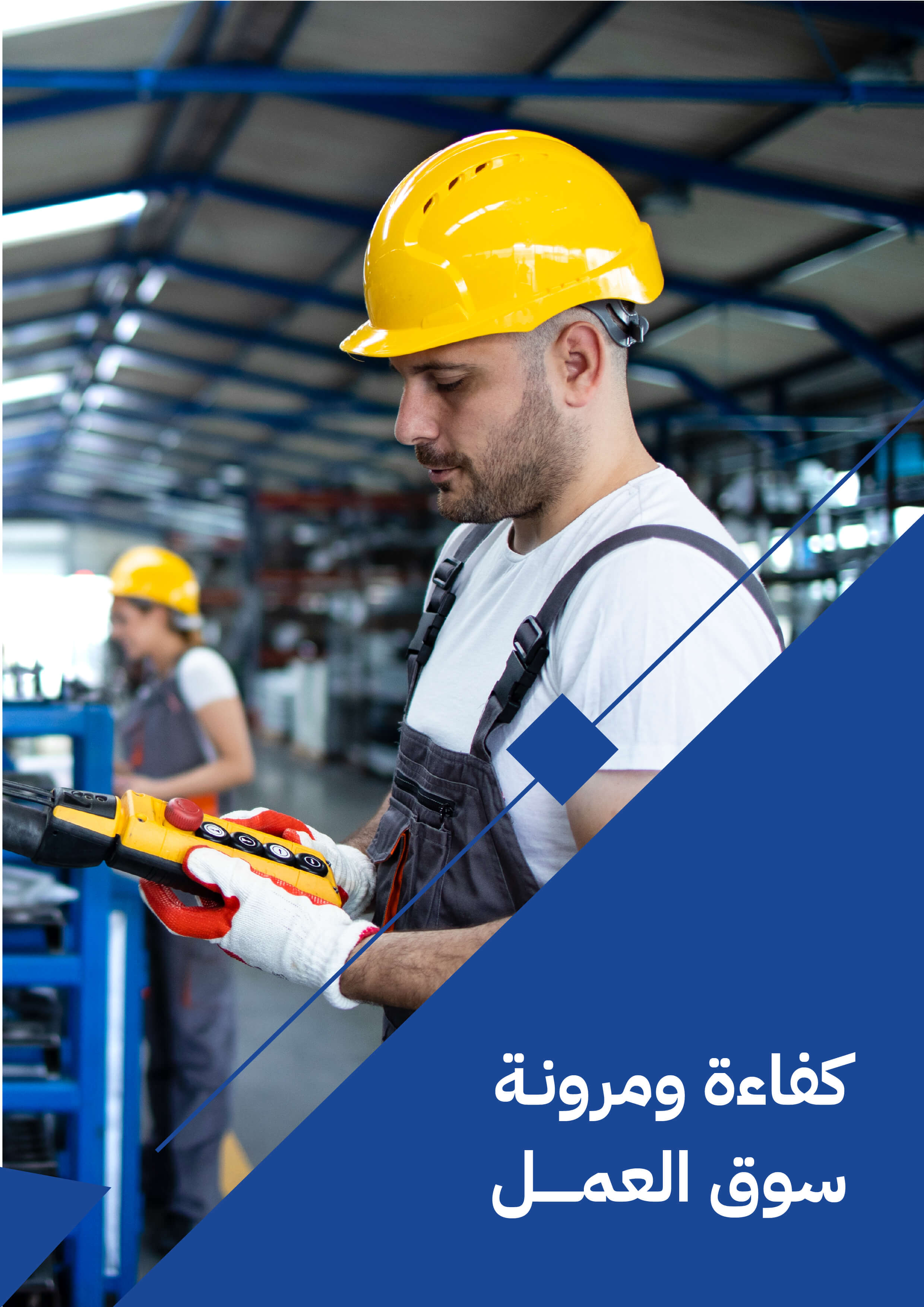    كفاءة ومرونة سوق العمل